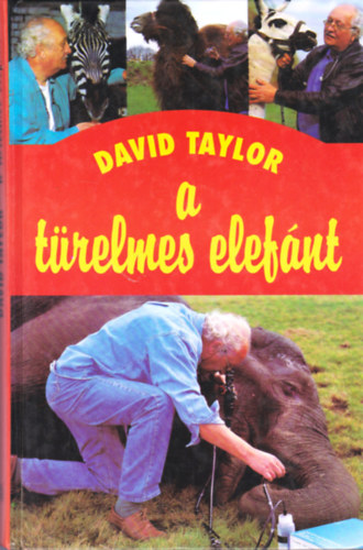 David Taylor - A trelmes elefnt