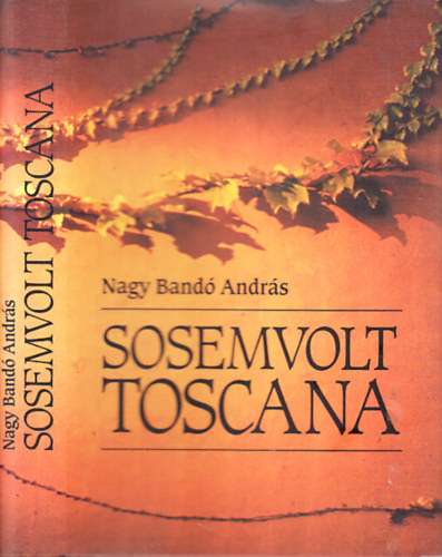 Nagy Band� Andr�s - Sosemvolt Toscana