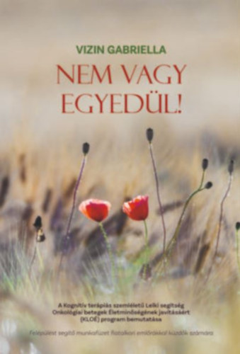 Vizin Gabriella - Nem vagy egyed�l!