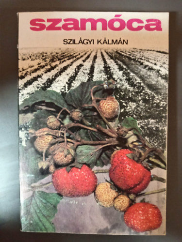 T�r�k L�szl�  Szil�gyi K�lm�n (szerk.), Mer�nyi K�roly (szerk.), Sass B�la (szerk.) - ---