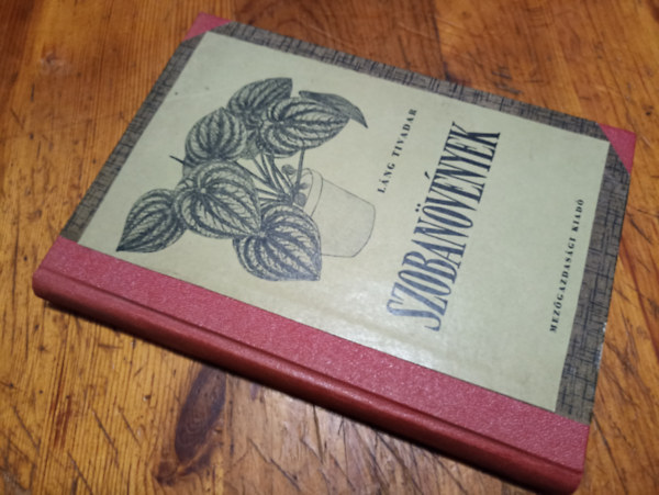 L�ng Tivadar - Szoban�v�nyek