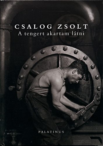 Csalog Zsolt - A tengert akartam l�tni