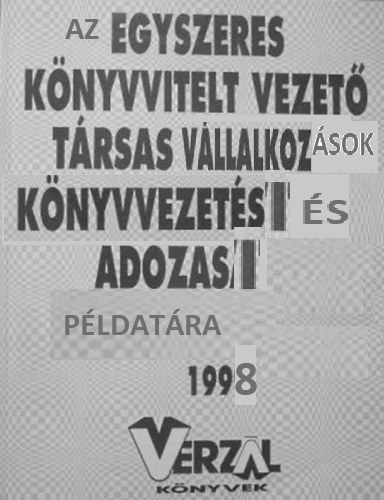 Czipszer Krolyn; Baloghngspr Anna - Az egyszeres knyvvitelt vezetk knyvvezetsi s adzsi pldatra, 1998