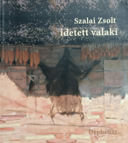 Szalai Zsolt - Idetett valaki