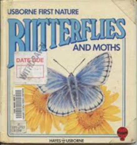 Butterflies and Moths