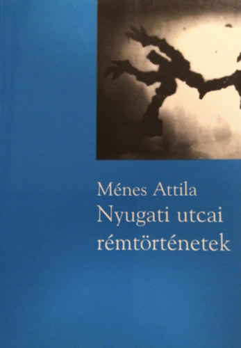 Mnes Attila - Nyugati utcai rmtrtnetek