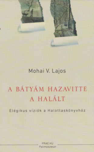 Mohai V. Lajos - A btym hazavitte a hallt