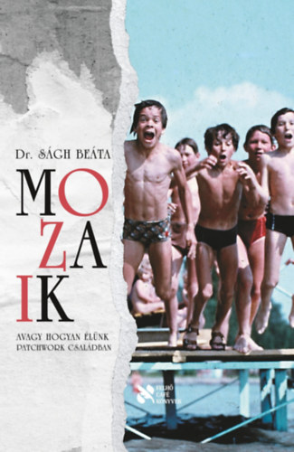 Dr. Sgh Beta - Mozaik