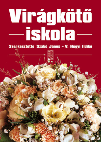 Virgkt iskola