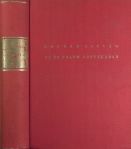 Bodn�r Istv�n - Az �n falum �rny�k�ban