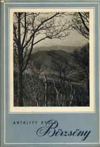 Antalffy Gyula - B�rzs�ny