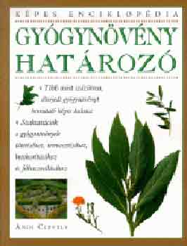 Andi Clevely - Gygynvnyhatroz