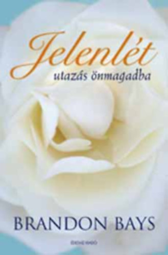 Brandon Bays - Jelenlt - Utazs nmagadba