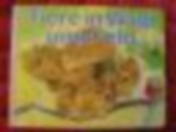 Tiere in Wald und Feld