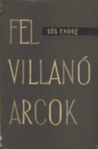 S�s Endre - Felvillan� arcok