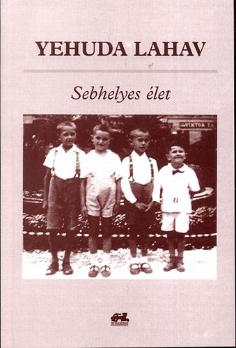 Yehuda Lahav - Sebhelyes let