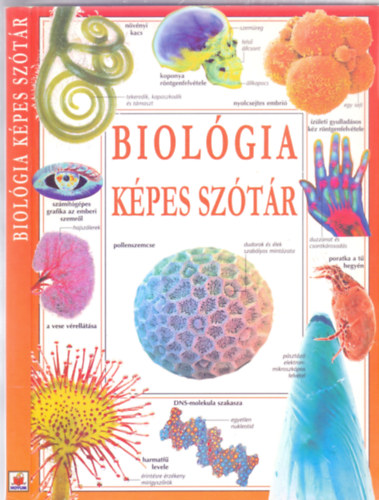 Corinne Stockley - Biolgia kpes sztr