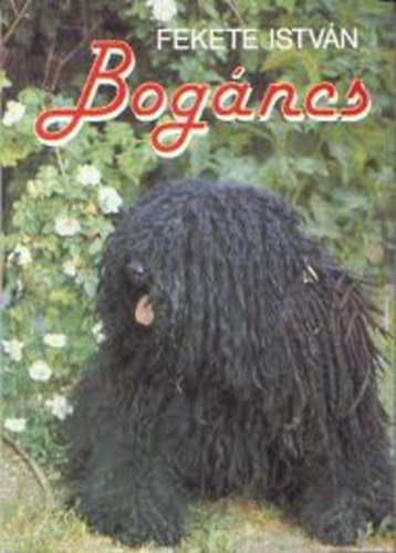 Fekete Istvn - Bogncs