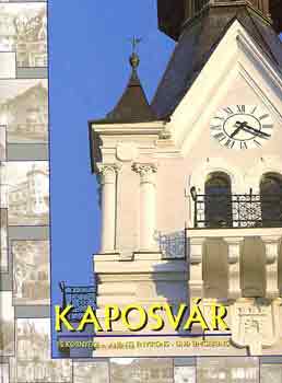 Cseicsner Endrn  (szerk.) - Kaposvr s krnyke