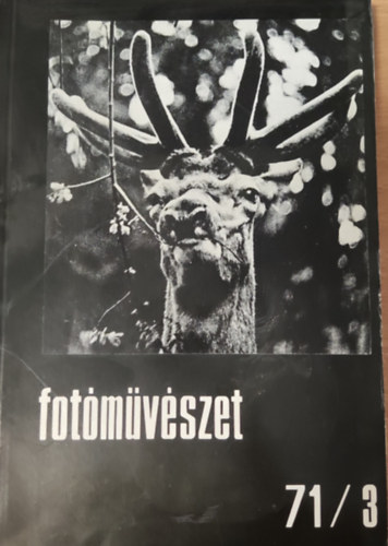 Rozgonyi Ivn  (szerk.) - Fotmvszet XIV. vf. 3. szm (1971)