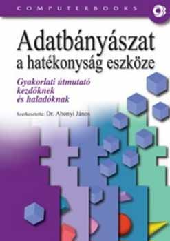 Dr. Abonyi János - Adatbányászat - A hatékonyság eszköze