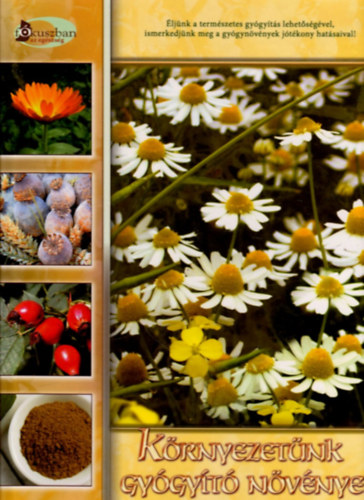 Buday Andrea - Környezetünk gyógyító növényei