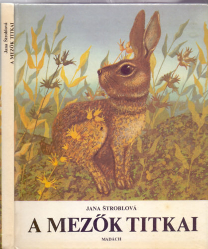 Fordtotta: Tth Elemr Jana Stroblov - A mezk titkai (Els magyar nyelv kiads - Jan Kudlcek s Julie Svobodov illusztrciival)