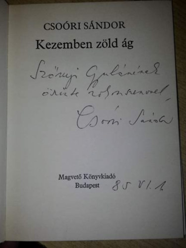 Cso�ri S�ndor - Kezemben z�ld �g