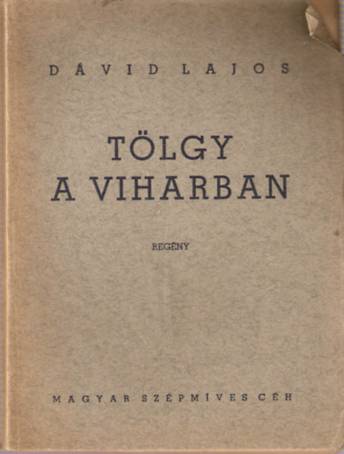 Dávid Lajos - Tölgy a viharban