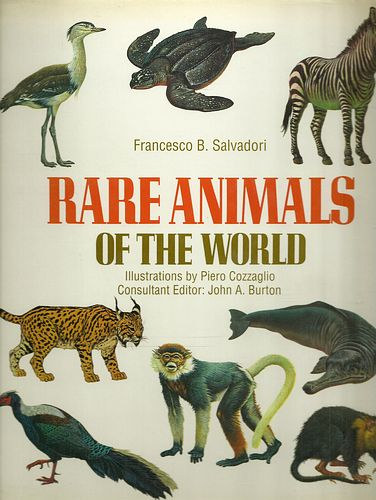 Francesco B. Salvadori; Pierro Cozzaglio - Rare Animals of the World