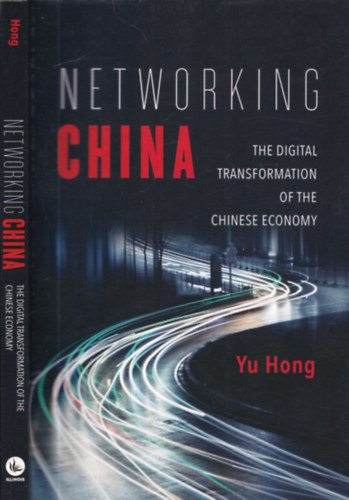 Yu Hong - Networking China - The digital transformation of the chinese economy