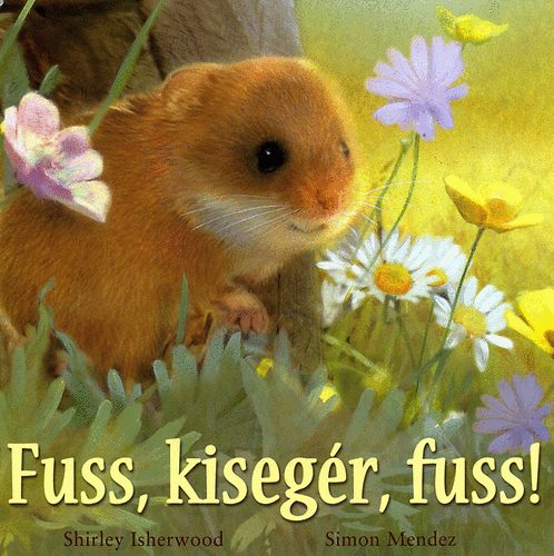 Fuss, kisegr, fuss!