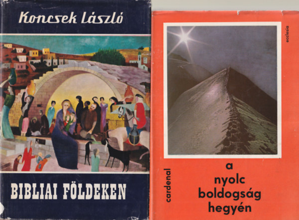 Lukcs Lszl  (Szerk.), Rnay Lszl (Szerk.), Koncsek Lszl, Ernesto Cardenal Kozma Gyrgy (szerk.) - 4 db vallsi knyv: A nyolc boldogsg hegyn + Bibliai fldeken + Virrasztk Vigilia-antolgia + Kziknyv vilgi lelkipsztori kisegtk szmra B-1