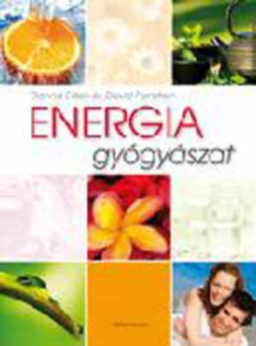 David Feinstein Donna Eden - Energia gy�gy�szat