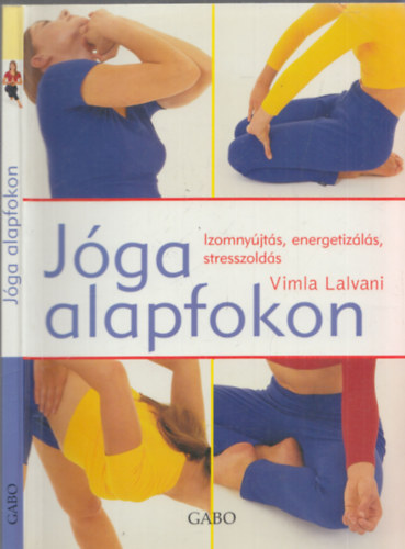 Vimla Lalvani - Jóga alapfokon