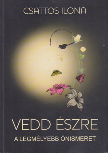 Csattos Ilona - Vedd szre