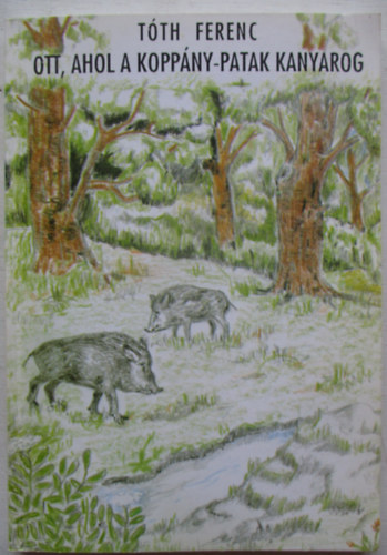 Tóth Ferenc - Ott, ahol a Koppány-patak kanyarog