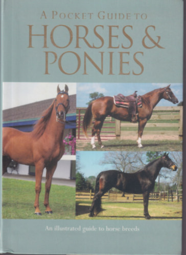 Corinne Clark - A Pocket Guide to Horses & ponies