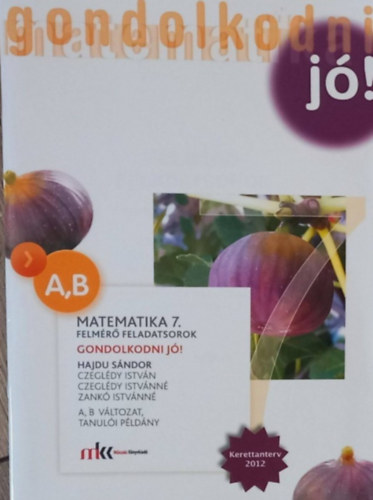 Czegldi Istvn, Czegldy Istvnn Hajdu Sndor - Gondolkodni j! - Felmr feladatsorok Matematika 7. - A,B vltozat, tanuli pldny