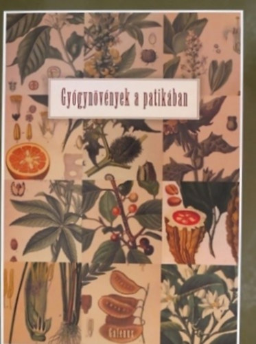 Szarvasházi Judit Dr. (szerk.) - Gyógynövények a patikában