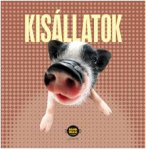 Kisllatok