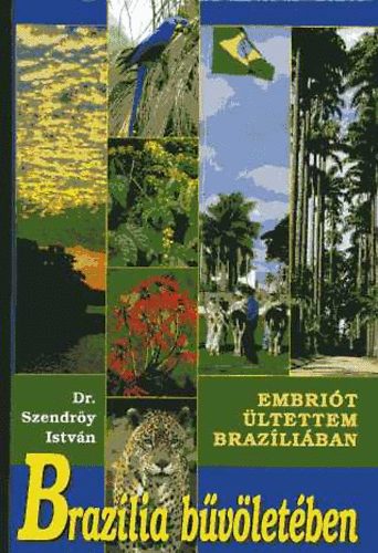 Dr. Szendry Istvn - Brazlia bvletben