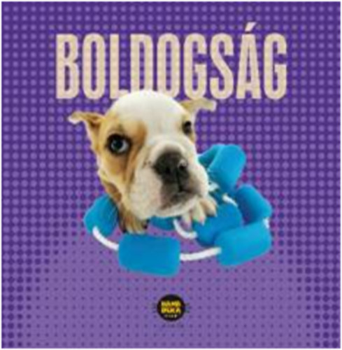 Boldogsg