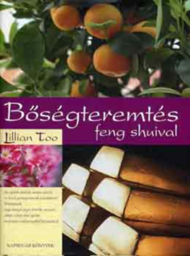 Lillian Too - Bsgterms Feng Shuival
