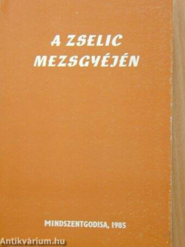 Füzes Miklós (szerk.) - A Zselic mezsgyéjén - Mindszentgodisa és társközségei