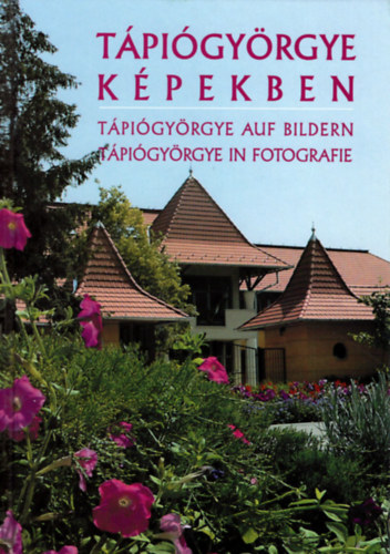Patks Gbor - Tpigyrgye kpekben