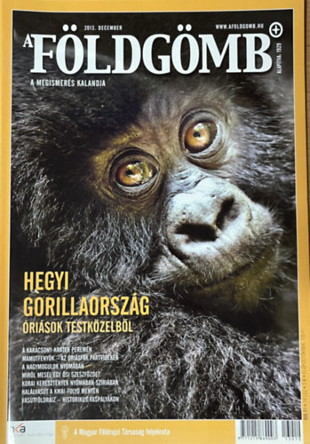 Dr. Nagy Bal�zs - A F�ldg�mb 2013. december