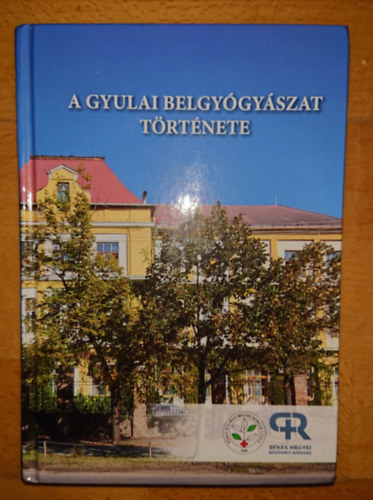 A gyulai belgy�gy�szat t�rt�nete