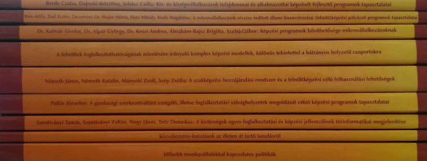 Felnőttképzési Kutatási Füzetek 10-18., 2006