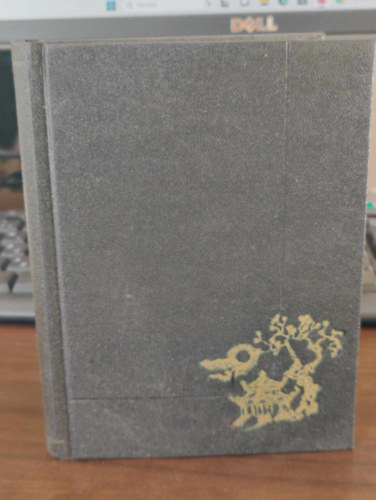 Schmidt József - Ázsia világossága (Buddha élete, tana és egyháza)